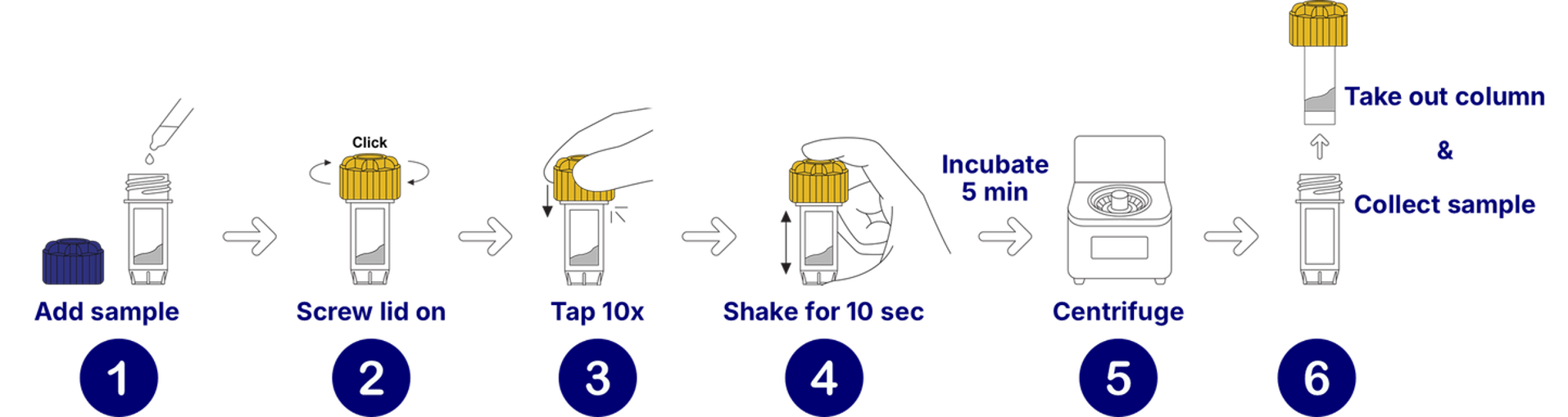 Amiprox_Workflow